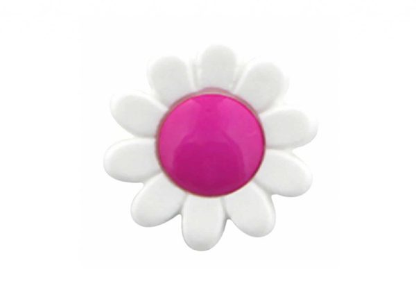 Boutons fleurs fushia