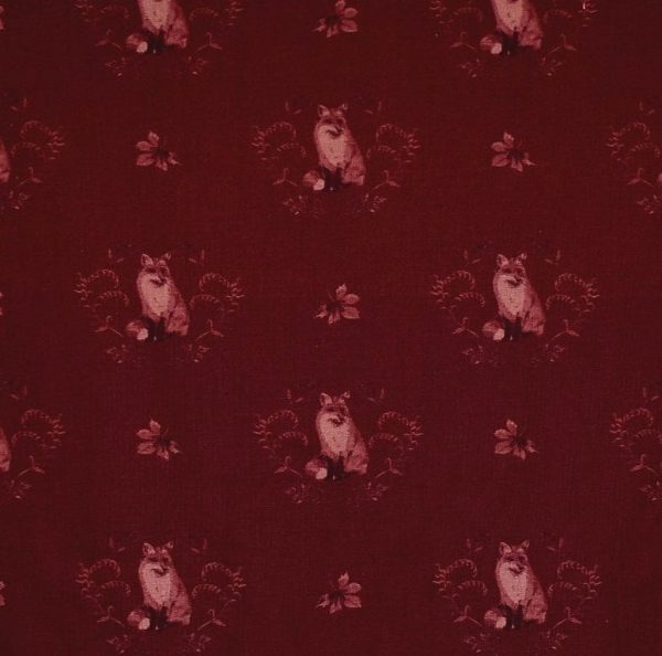 Renard rouge