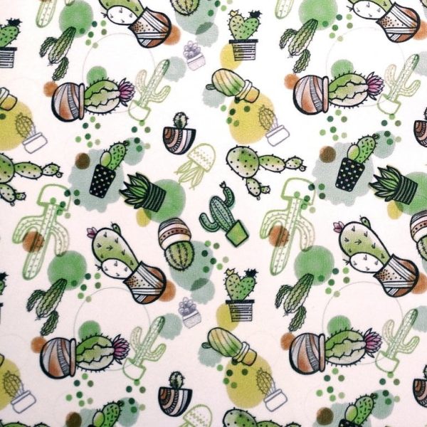 Cactus