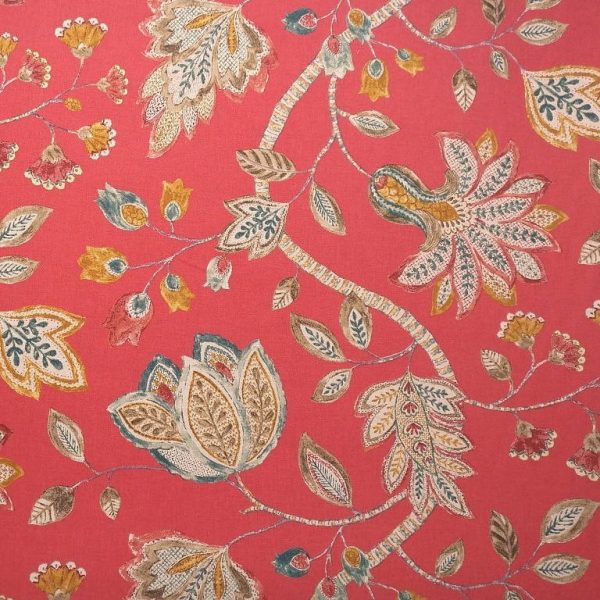 Jacobin - Corail