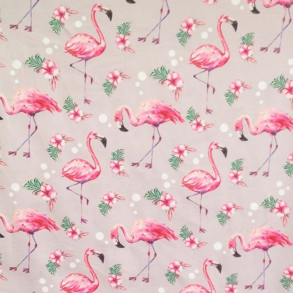 Flamand rose