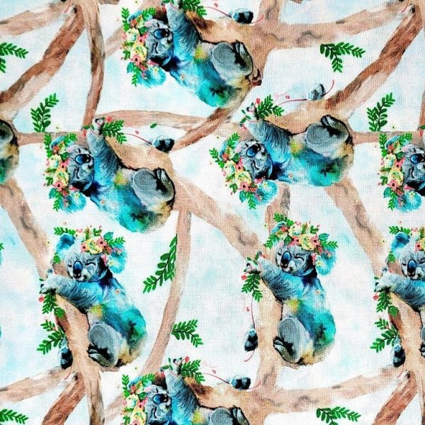 Koala branche bleu
