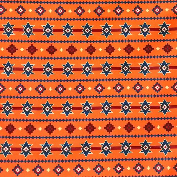 Navajo 10