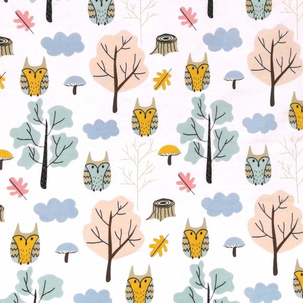Hiboux dans les nuages