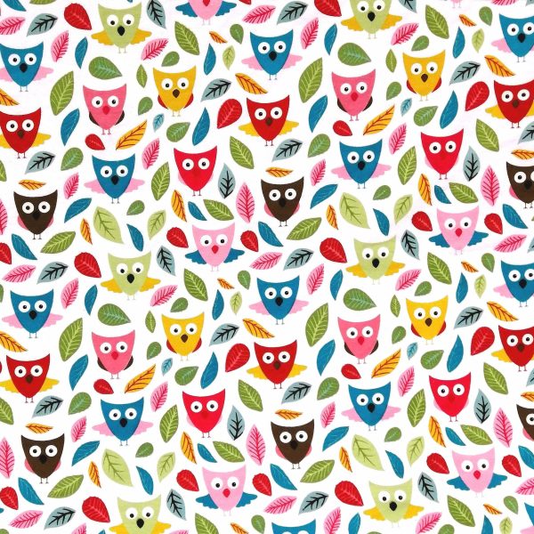 Hiboux colorés-Blanc