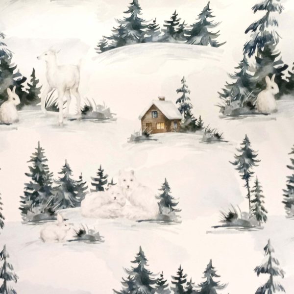 Chalet en hiver-Blanc