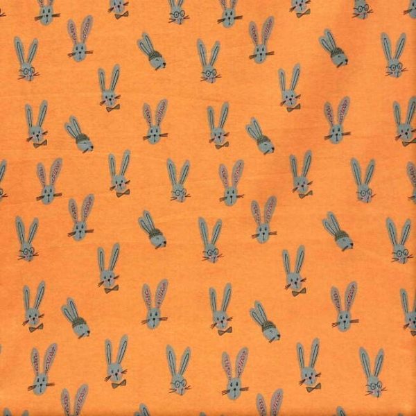 Lapins gris-Orange