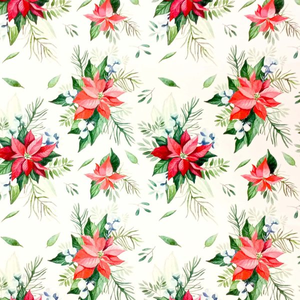 Poinsettia - Blanc