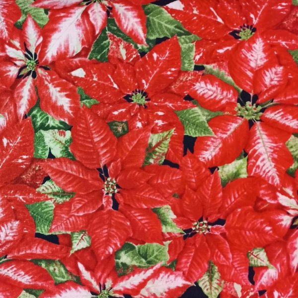 Fleurs de Noël