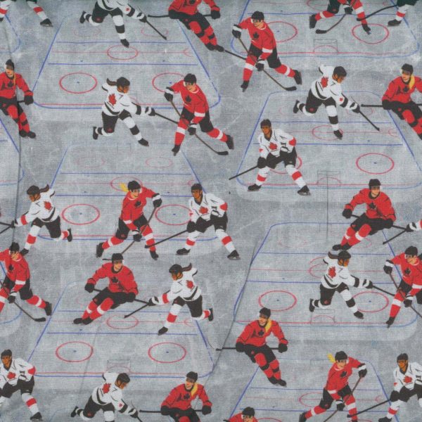 Hockey slap shot - Gris
