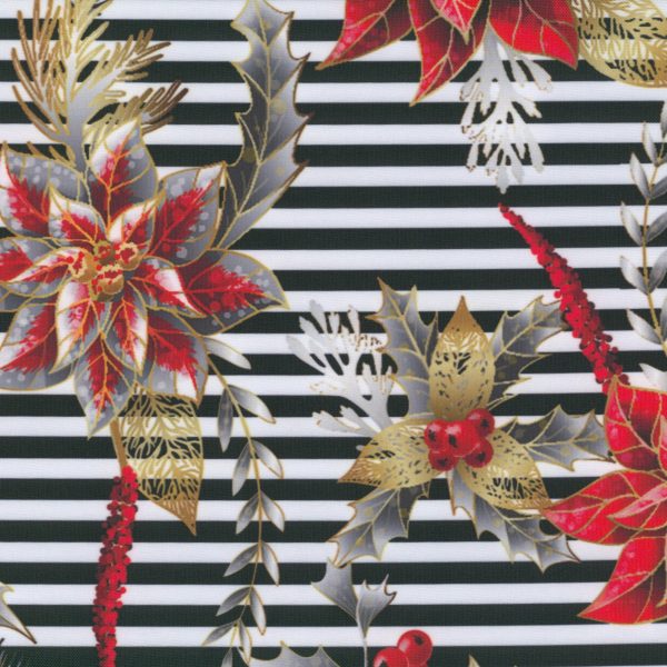 Poinsettia rayures