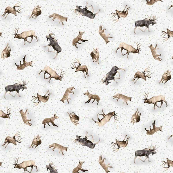 Animaux de la forêt Boréale