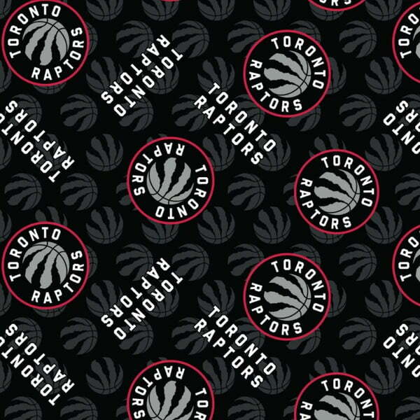 Polar NBA Toronto Raptors