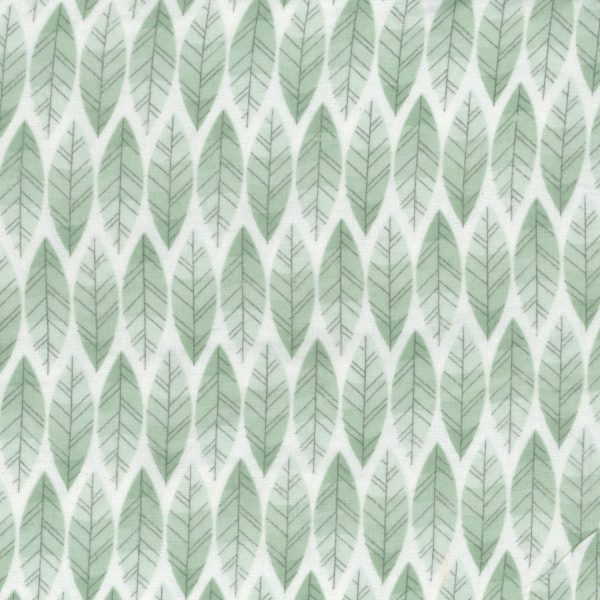 Feuilles - Menthe
