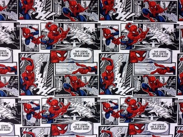 Spiderman comic panel