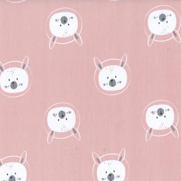 Lapins