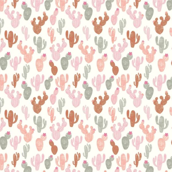 High road - Cactus
