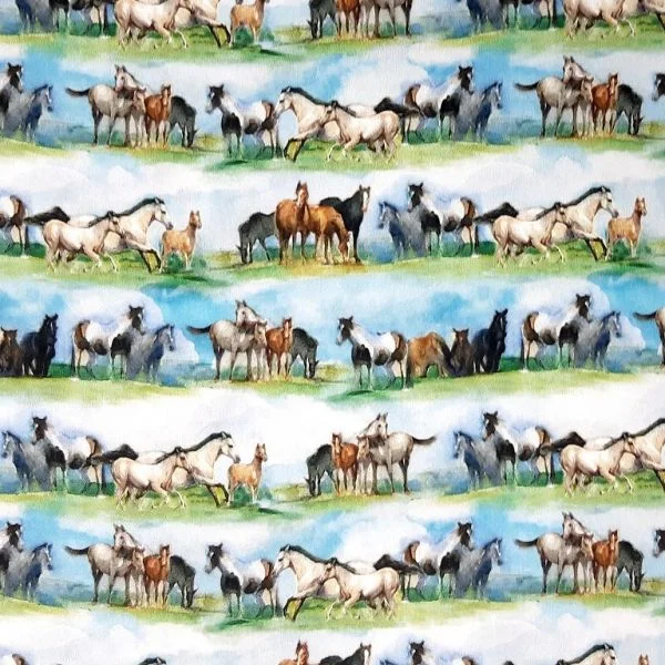 Chevaux - Bleu