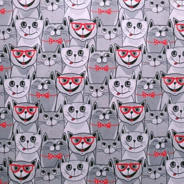 Chats et lunettes - Gris