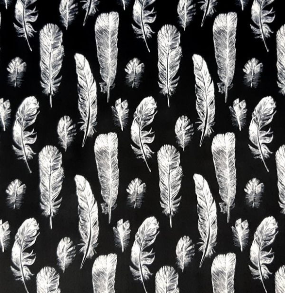 Plumes blanches - Noir