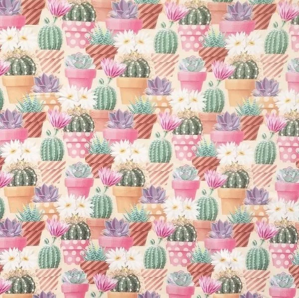 Plantes et cactus