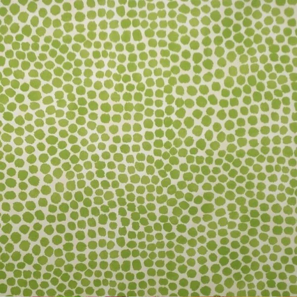 Pois vert - Blanc