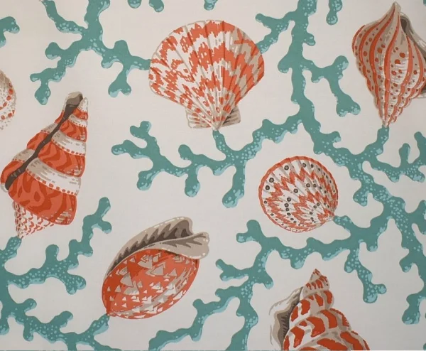 Coraux et coquillages