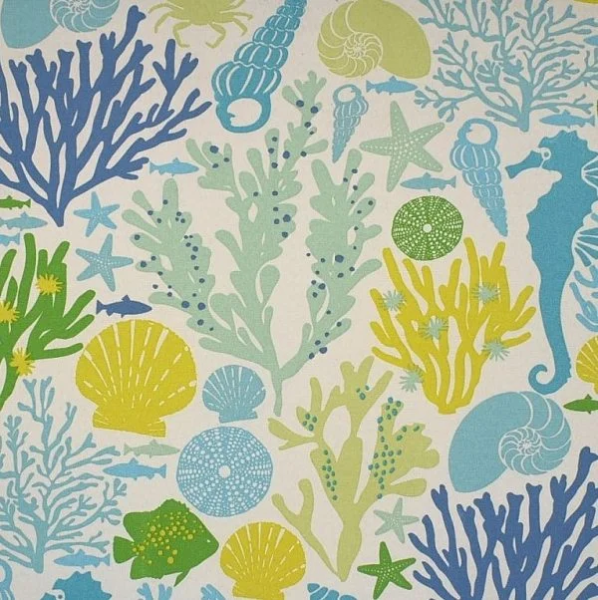 Coquillages, coraux et poissons