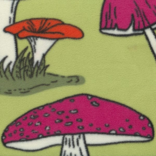 Polar champignons - Vert