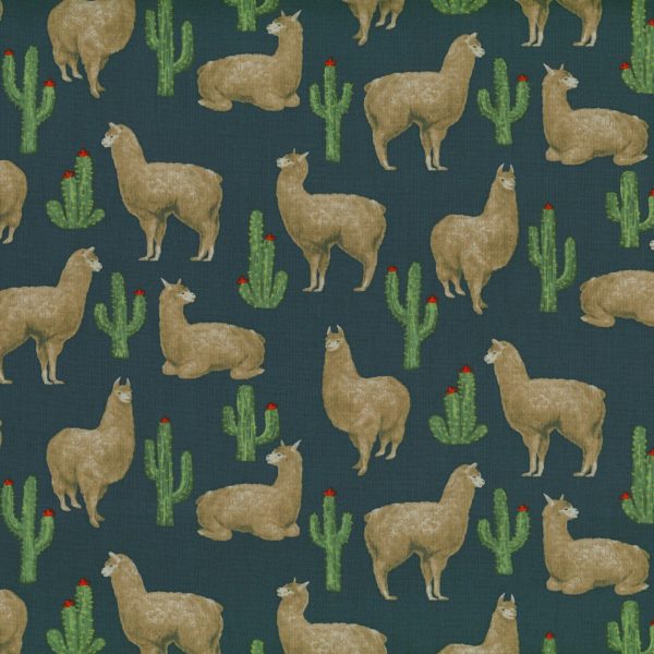Lamas et cactus - Sarcelle