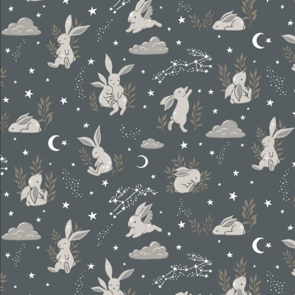 Rêves de lapins- Gris