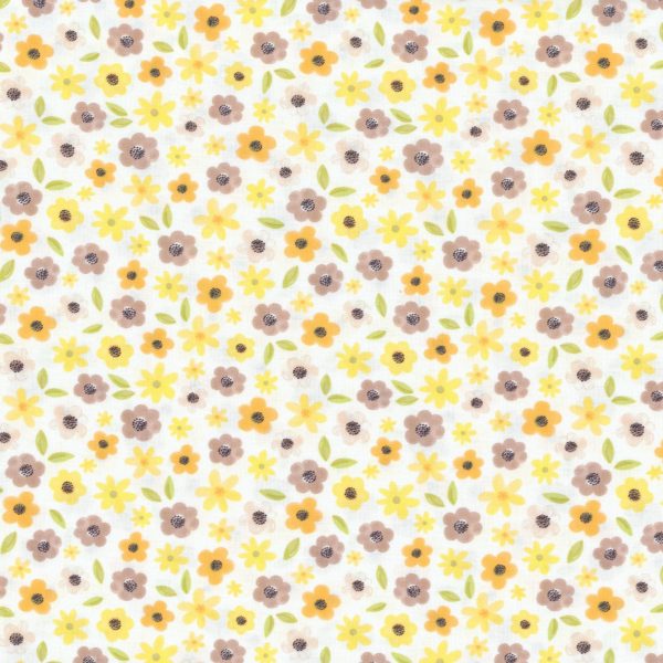 Fleurs - Blanc
