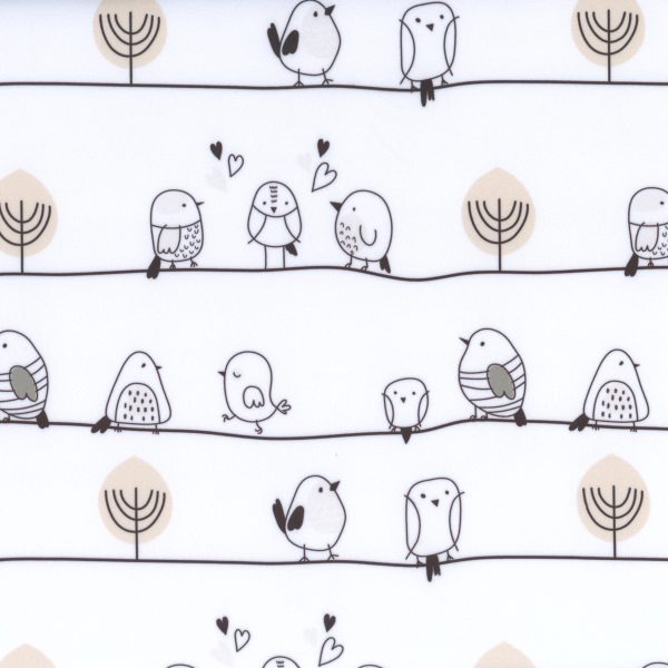 Oiseaux - Blanc