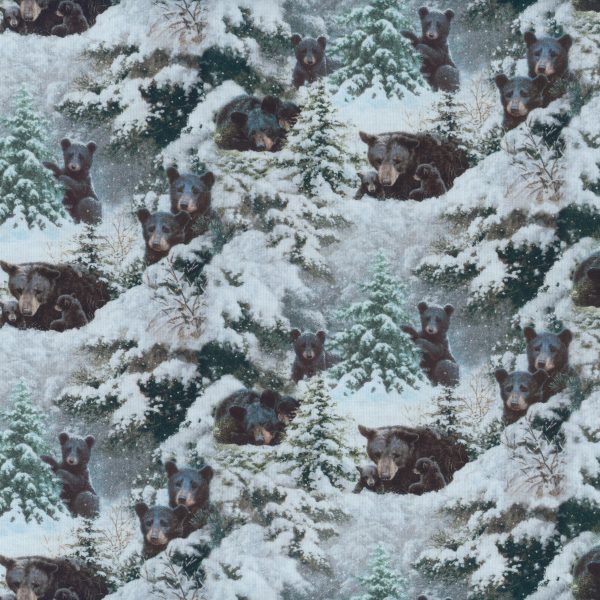 Ours dans la neige - Multi