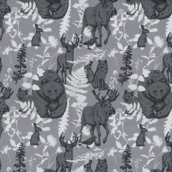 Ours et orignaux - Gris