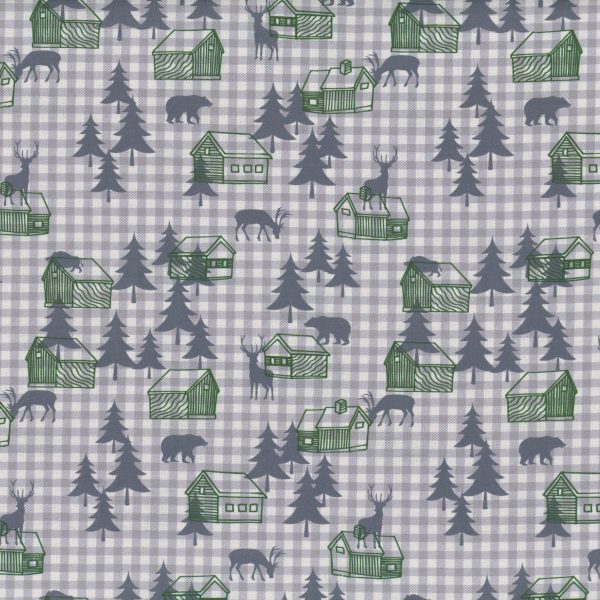 Animaux sauvage - Gris