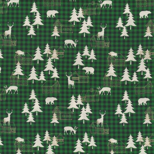 Animaux sauvage - Vert