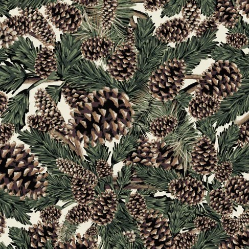 Polar - Cones de pin