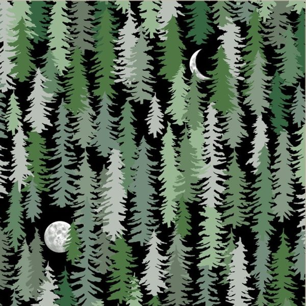 Polar - Midnight black