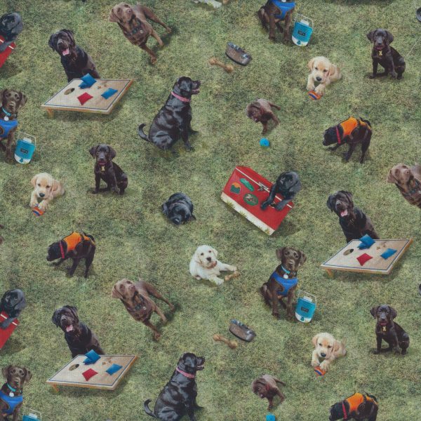 Chiens sur le gazon - Vert