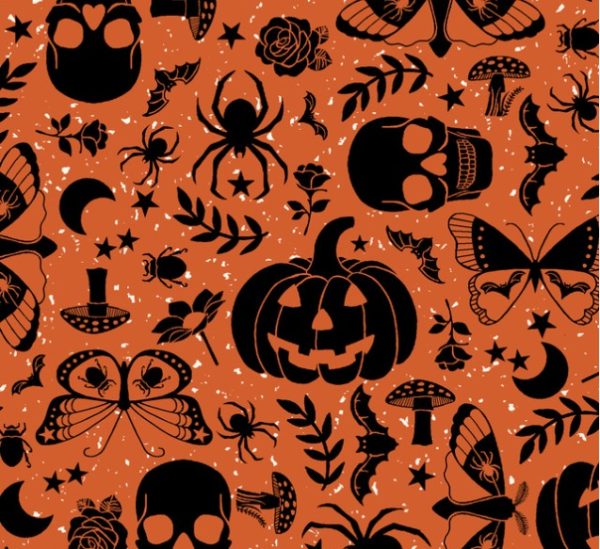 Citrouilles - Orange