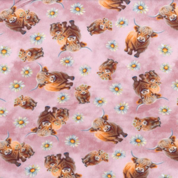 Squish - Vaches Highland - Rose