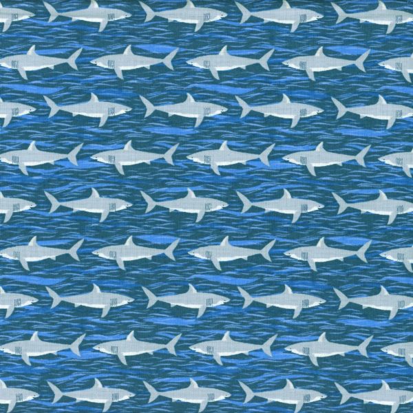 Requin - Bleu
