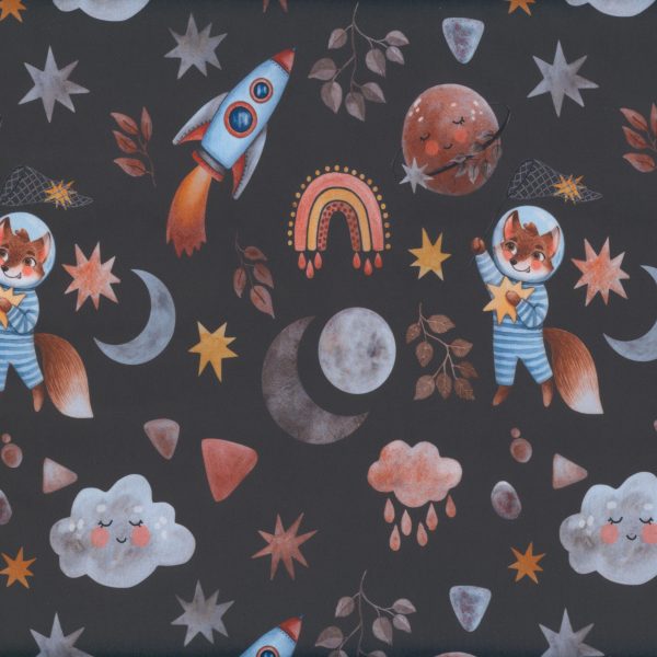 Renards et fusées - Gris