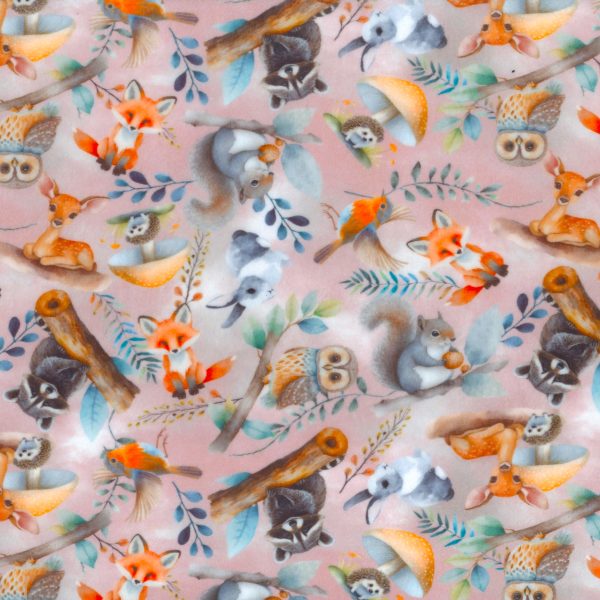 Squish - Renards - Rose