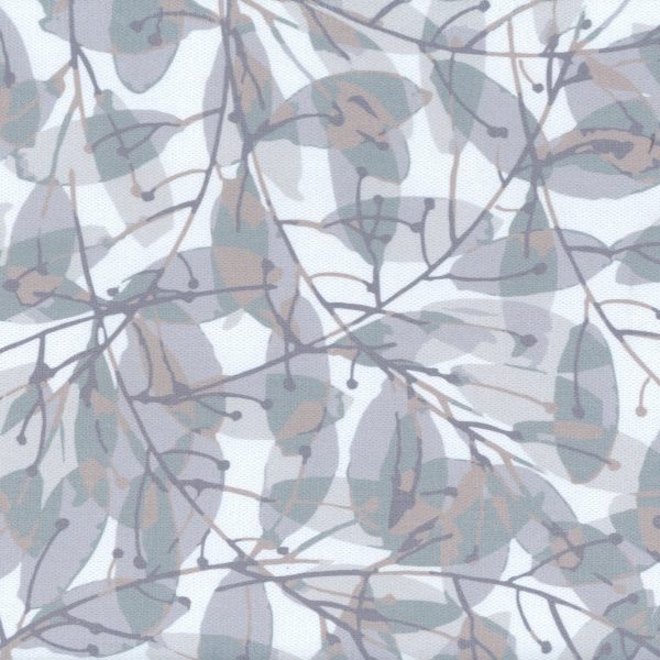 Penny feuilles - Sauge