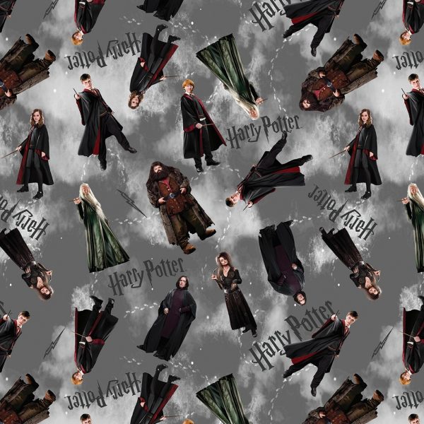 Harry Potter - Personnages - Gris