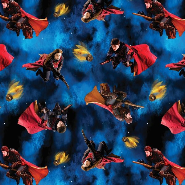 Harry Potter - Quidditch