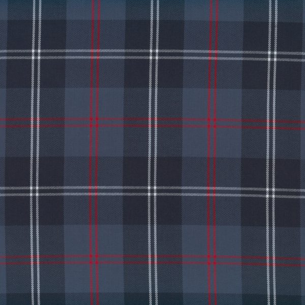 Tartan - Bleu poste