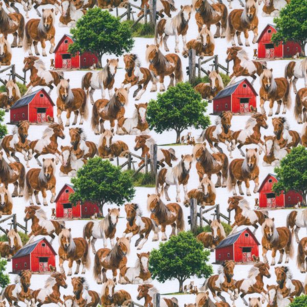 Chevaux et granges - Blanc